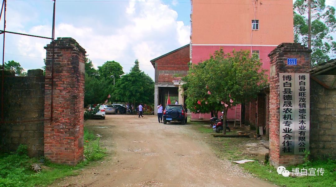 乡村振兴博白200多台智能烘干机开足马力保障粮食颗粒归仓