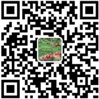 45岁的孙耀威：曾红遍亚洲，消失18年今因抖音帅气回归！还制定“十年大计”戒肉转素