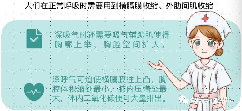 做器械怎么呼吸《职业病防治法》宣传周科普系列丨篇八：呼吸康复训练器械_https://www.jmylbn.com_新闻资讯_第6张