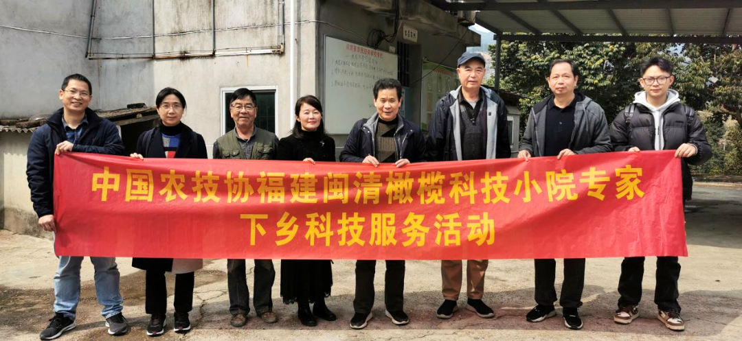 闽清橄榄科技小院：助力乡村振兴 开展专家技术服务