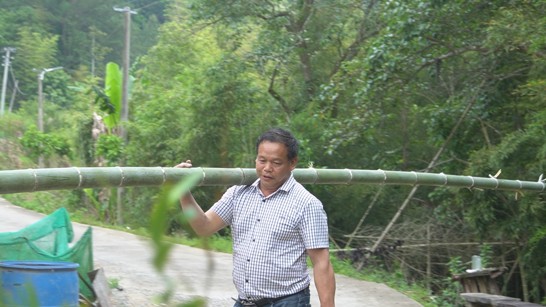 食在閩清 | 鮮香清雅竹筒雞 不一樣的舌尖味蕾