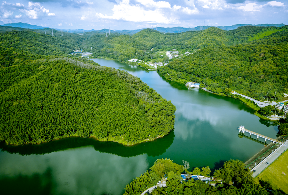 省龙眼洞林场调查记录到736种野生维管束植物