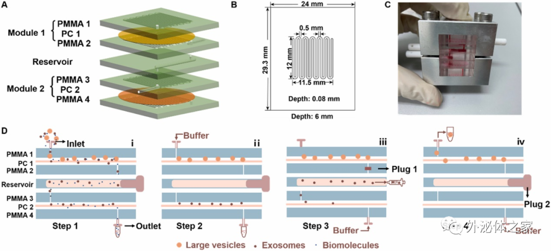 Analytica Chimica Acta|东南大学刘松琴教授团队：一种基于双切向流过滤的外泌体高效分离富集微流控装置