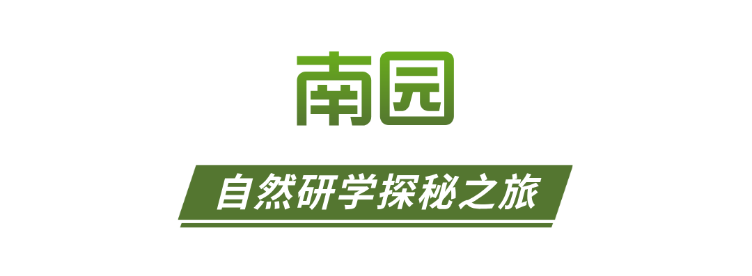 合成风简洁的轻食简餐促销海报__2026-04-15+10_10_48.png