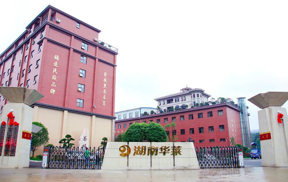 高清《揭秘华莱冷市黑茶产业园》，为大家继续全景呈现一个真实的