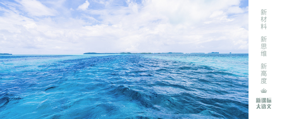 世界上最浪漫的生物_世间浪漫生物有哪些_世间最浪漫生物