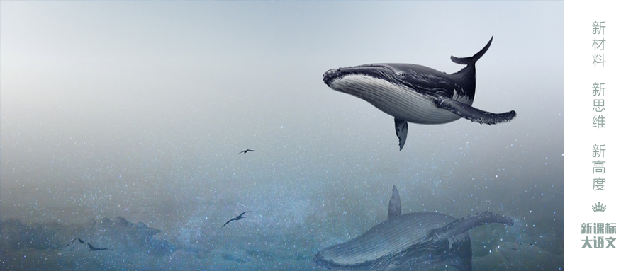 世界上最浪漫的生物_世间浪漫生物有哪些_世间最浪漫生物