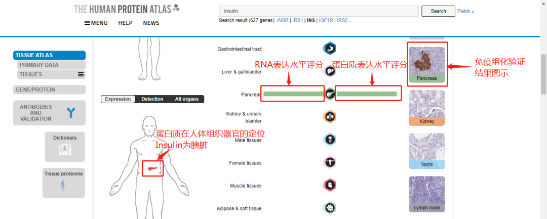 技术资料图片12