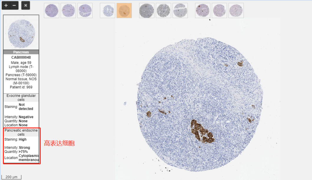 技术资料图片13