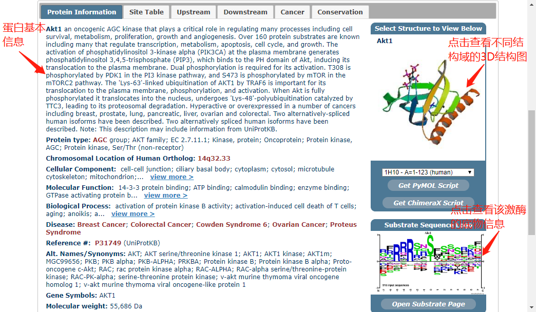 技术资料图片20