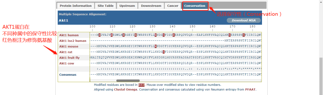 技术资料图片24