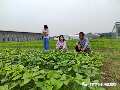 食用豆专委会| 科普宣传与基地建设在行动_中国作物学会