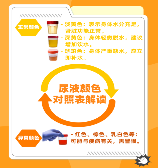 尿液引流袋怎么用留置尿管患者回家后滑脱怎么办，如何防感染？这里有居家护理妙招_https://www.jmylbn.com_新闻资讯_第6张