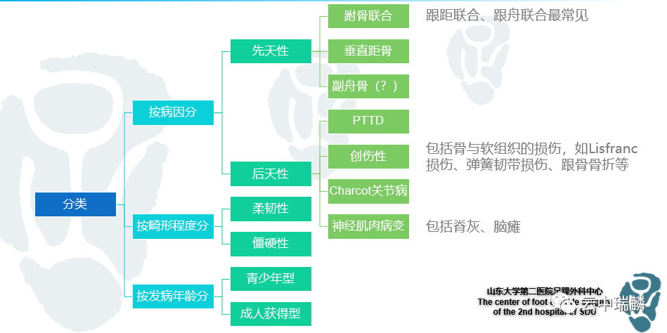 一文了解平足症的病理解剖与治疗策略
