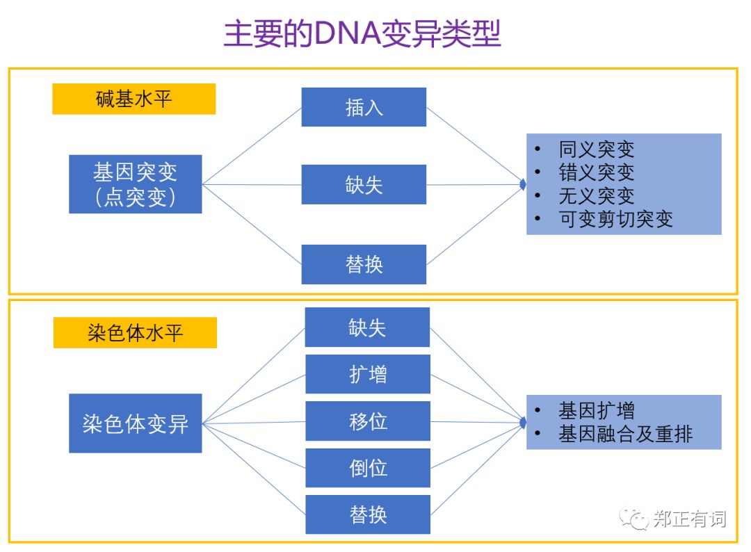 基因检测什么叫野生型_基因检测全是野生型好是不好_基因检测野生型好不好