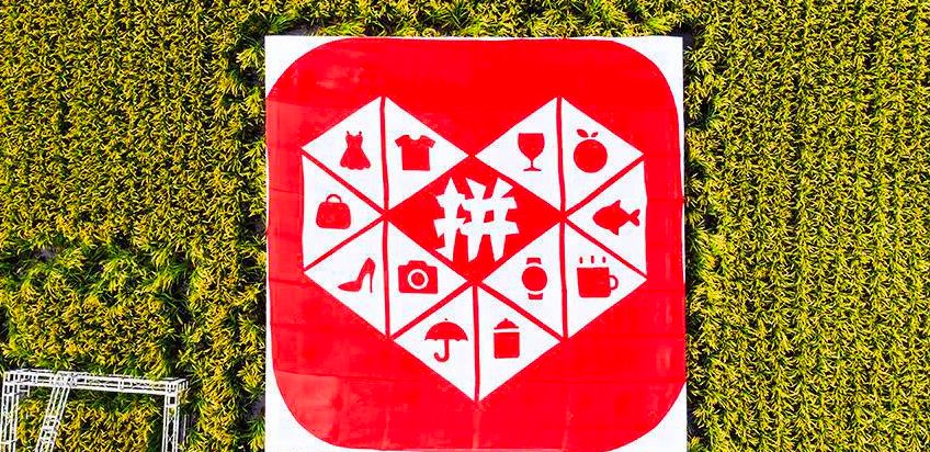 拼多多2019年Q1财报解读：用户增速放缓，进入单客获取深水区 | 风眼观察