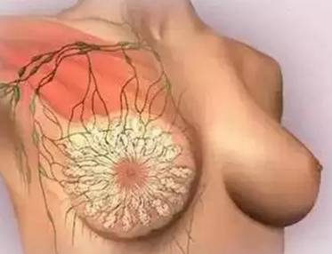 胸部保养已经不是“喜不喜欢、需不需要”的问题！