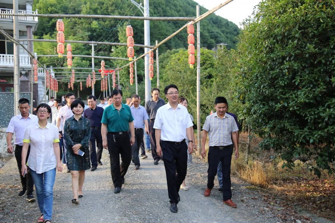 杨勇在大佳何镇开展"昼访夜谈,蹲点破难"抓落实系列活动:抢抓机遇谋