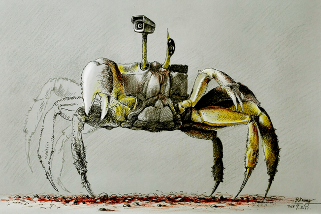 漫 绘生活 何洁冰美术名师工作室漫画创作培训活动