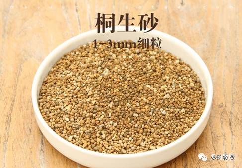 怪不得多肉总烂根 原来是用了这种土 多肉教授 微信公众号文章阅读 Wemp