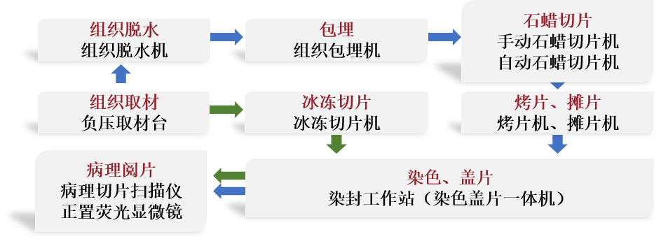 动物生化分析仪查什么能力介绍：实验动物中心表型分析模块_https://www.jmylbn.com_新闻资讯_第6张