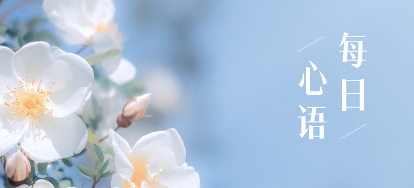 特区经济期刊_第一批经济特区_特区经济是核心期刊吗