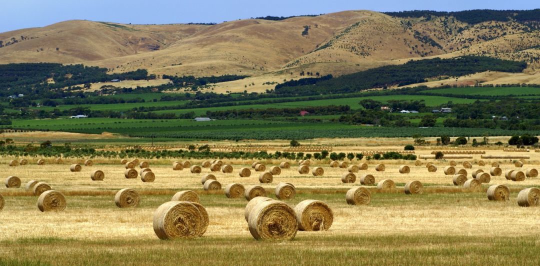 澳农业地产投资供不应求 年交易额突破200亿澳元 - 2