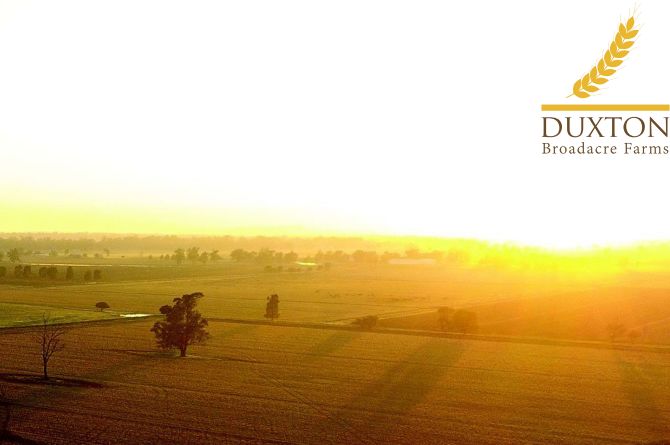 Duxton农业公司首秀涨5% 站立全球谷物需求风口 - 1