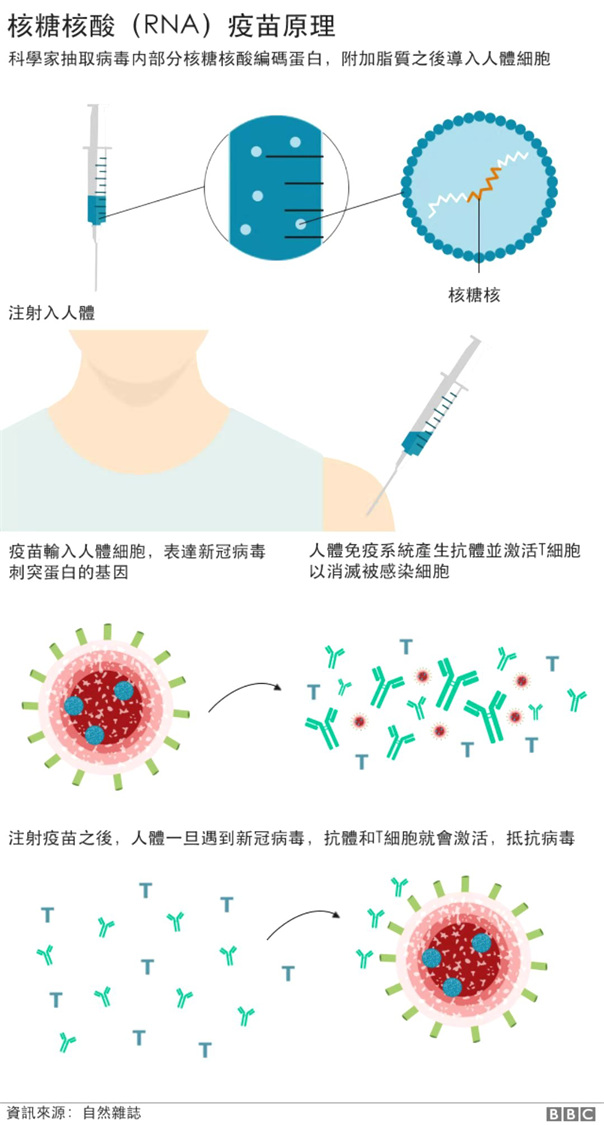 市面上已出现多种新冠疫苗 澳洲民众将接种哪款？ - 2