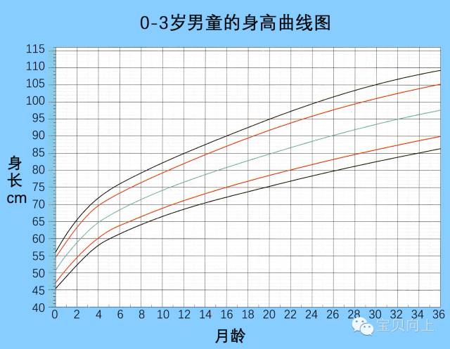一張圖看懂 寶寶身高發育好不好 寶貝向上 微文庫
