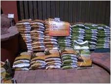 环保公益创业项目_怎样做环保创业项目_大学生毕业做创业项目