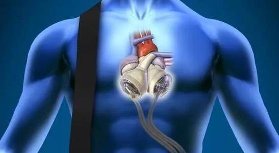 640 (1)_看图王.jpg