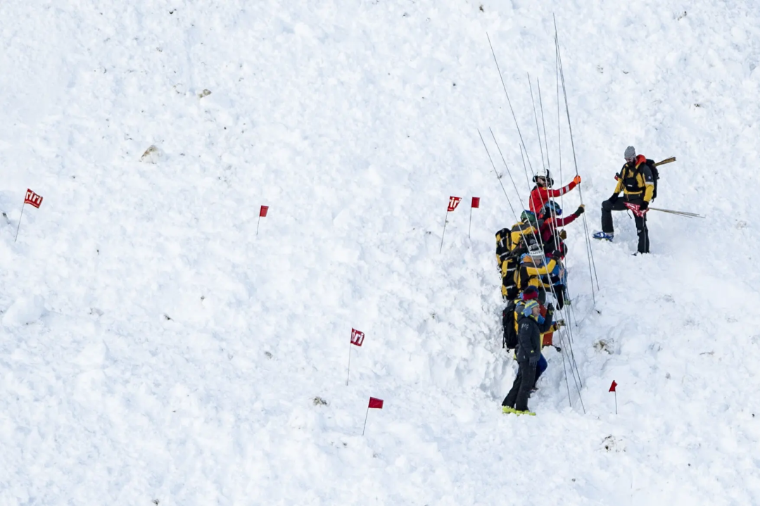 图源网络 版权属于原作者