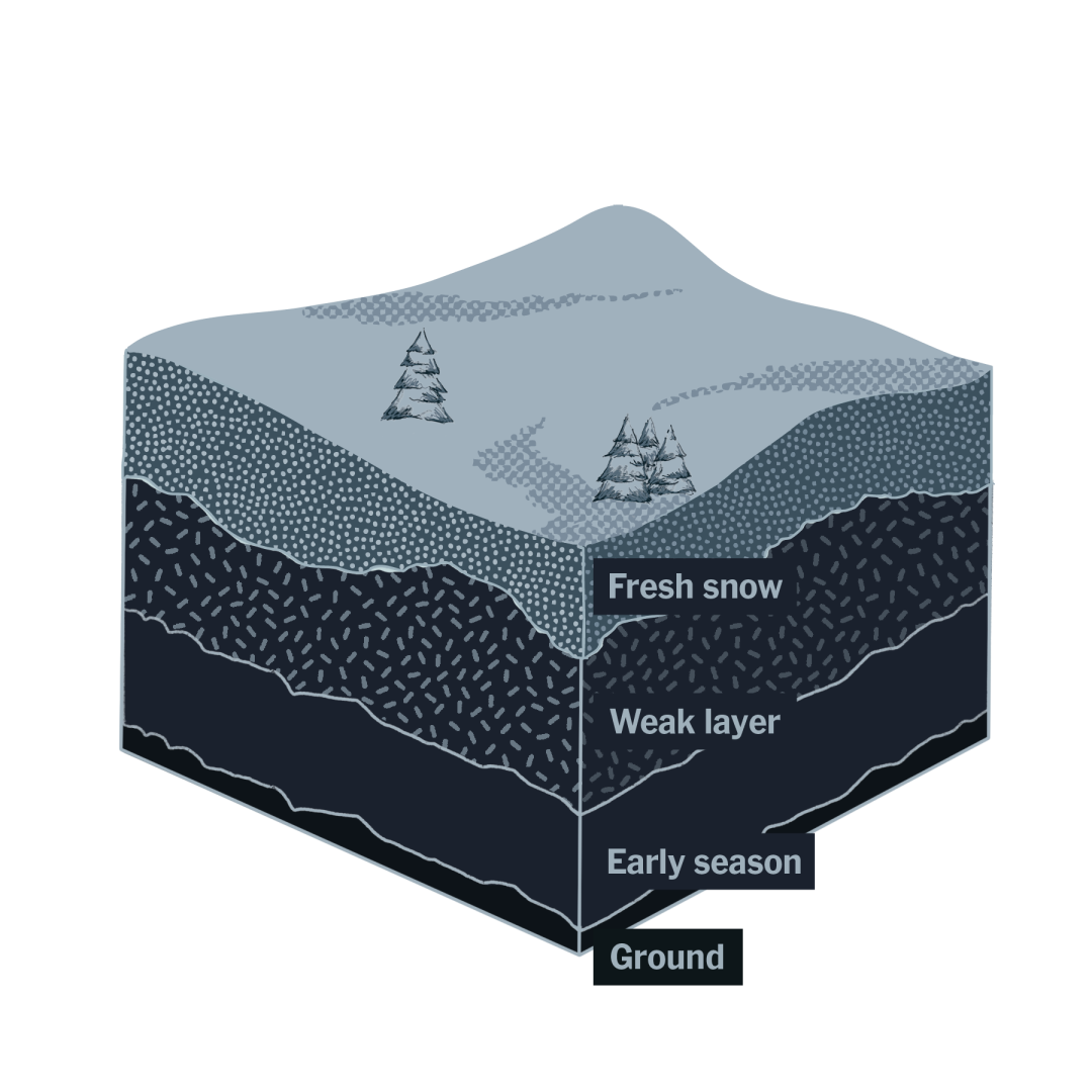 图源网络 版权属于原作者