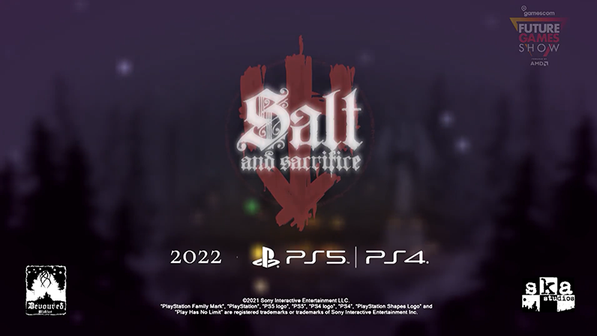 盐与牺牲 多人游戏实机演示公布22年发售 流放之路