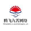 陕西腾飞九霄网络技术有限公司