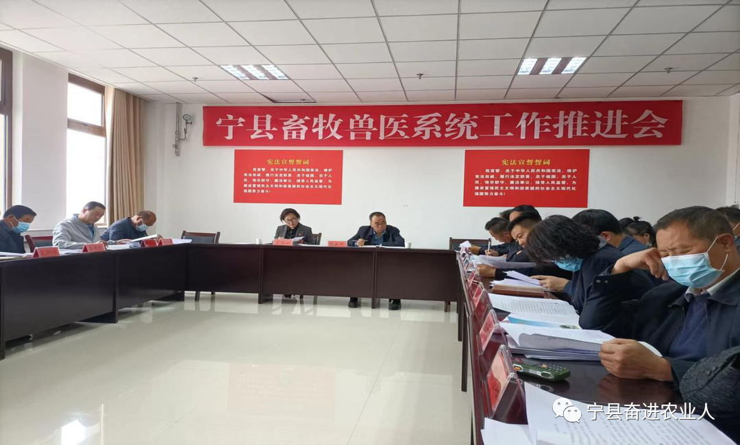 宁县畜牧兽医站召开党风廉政建设暨畜牧兽医工作推进会