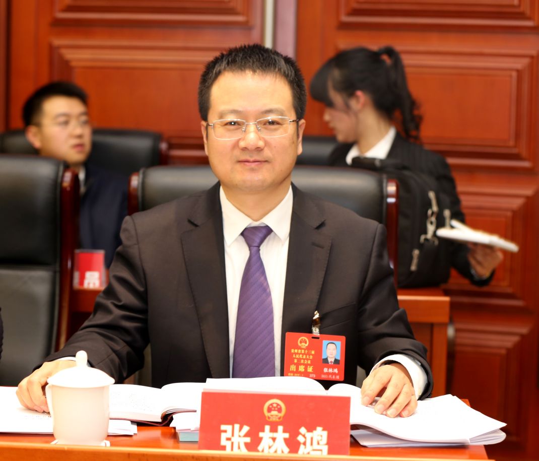 19省两会 省人大代表张林鸿 立法禁止未成年整容确有必要 是大势所趋 贵州民革 贵州民革