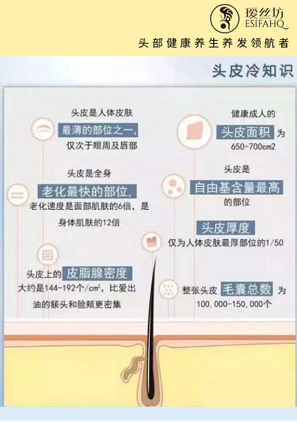 头发总是很油，头油是什么原因引起的？怎么解决才能缓解头油!