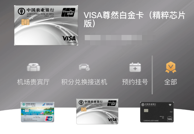 农行Visa全球支付尊享白金卡 0年费无限次境外贵宾厅 商旅新卡