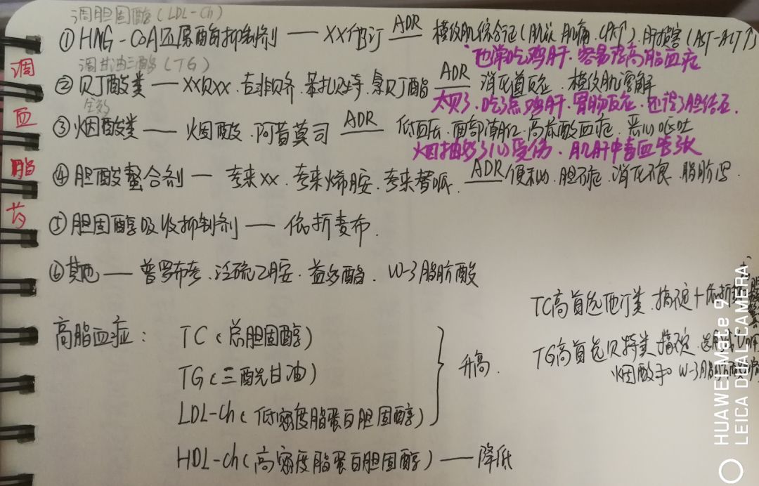 手寫筆記 | 執業藥師藥學專業知識二（二） 家居 第18張