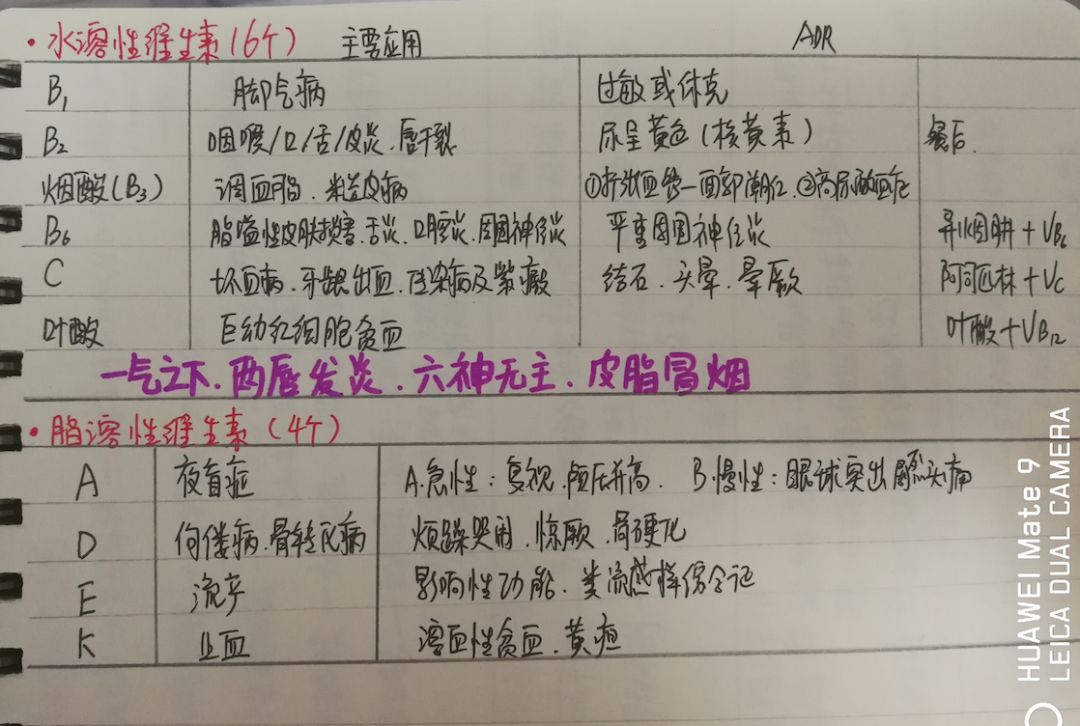 手寫筆記 | 執業藥師藥學專業知識二（二） 家居 第30張