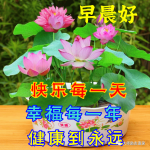 今日3月22日最新早上好表情包，愿你健康平安，早安吉祥！