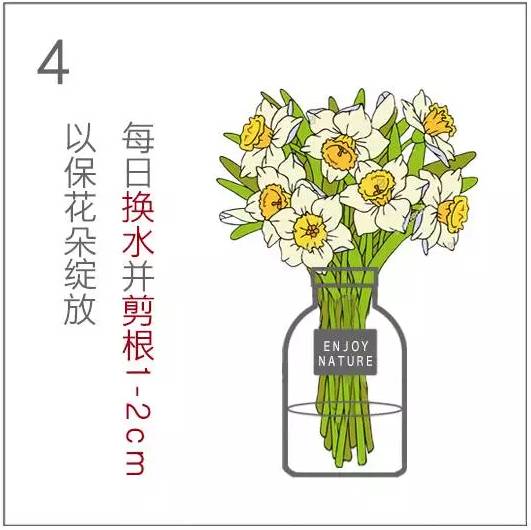 七夕收到的花束，现在可以这样处理！