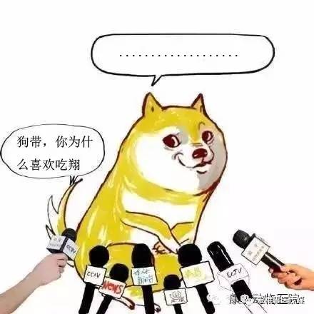 狗狗为什么吃大便？4招让它不再留恋！
