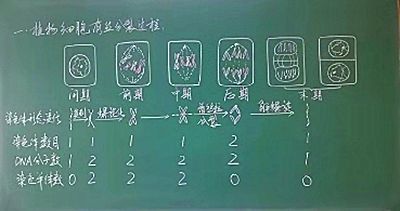 与晨字造字法相同的字_教案模板体育教案免费_造字法的教案模板