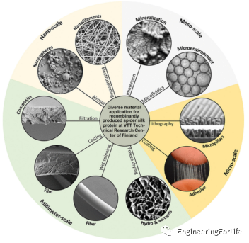 《Chem. Rev.》综述：基于蛋白质生物材料的分子设计和人工生产的图8