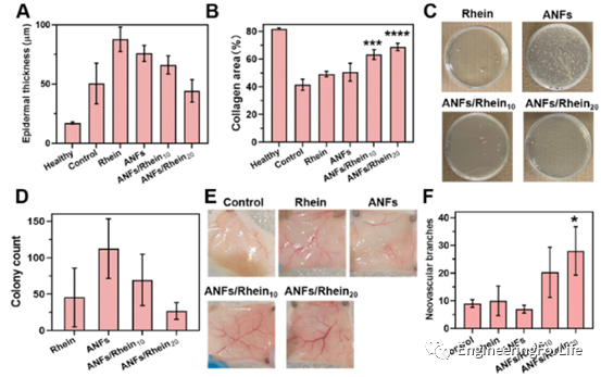 烧伤敷料怎么用图解《ACS AMI》：全能烧伤创面敷料！显著抗菌和抗炎！_https://www.jmylbn.com_新闻资讯_第9张
