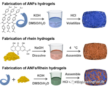 烧伤敷料怎么用图解《ACS AMI》：全能烧伤创面敷料！显著抗菌和抗炎！_https://www.jmylbn.com_新闻资讯_第1张