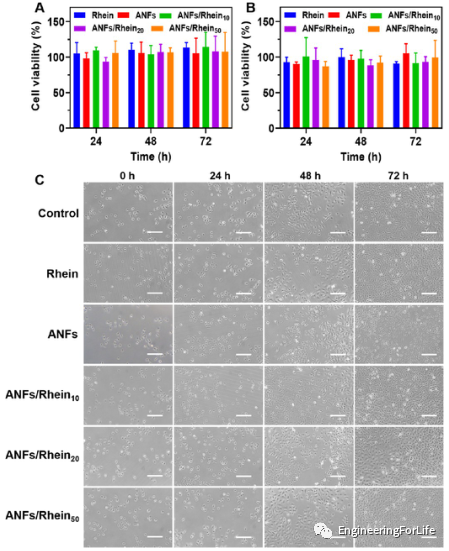 烧伤敷料怎么用图解《ACS AMI》：全能烧伤创面敷料！显著抗菌和抗炎！_https://www.jmylbn.com_新闻资讯_第5张